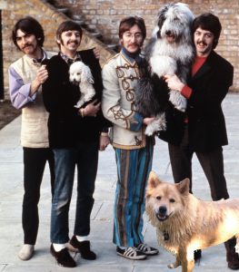Mishka The Dog - Colorado - Posing with the Beatles A Day In The Life