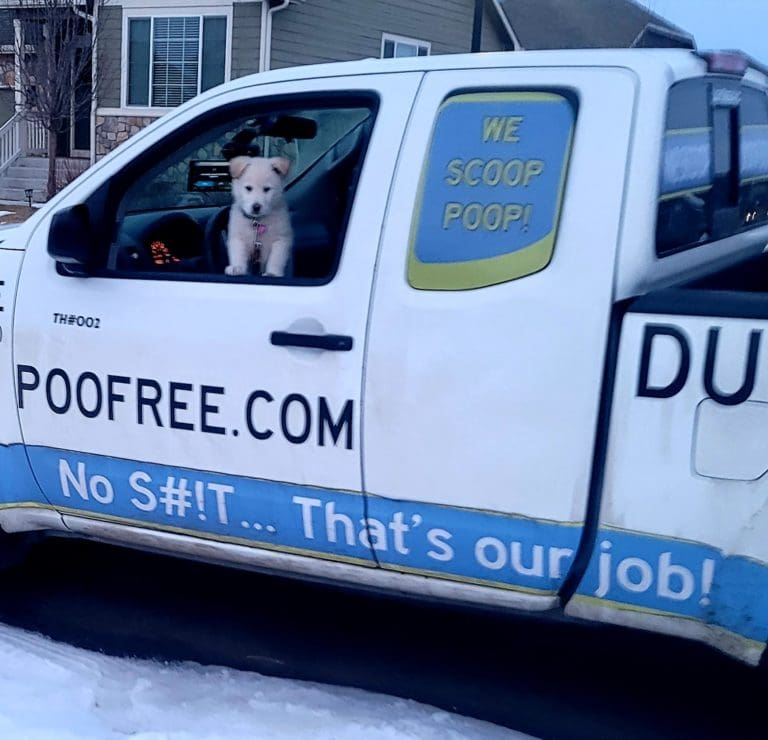 DUTY FREE PETS Pooper Scooper Service Firestone Colorado