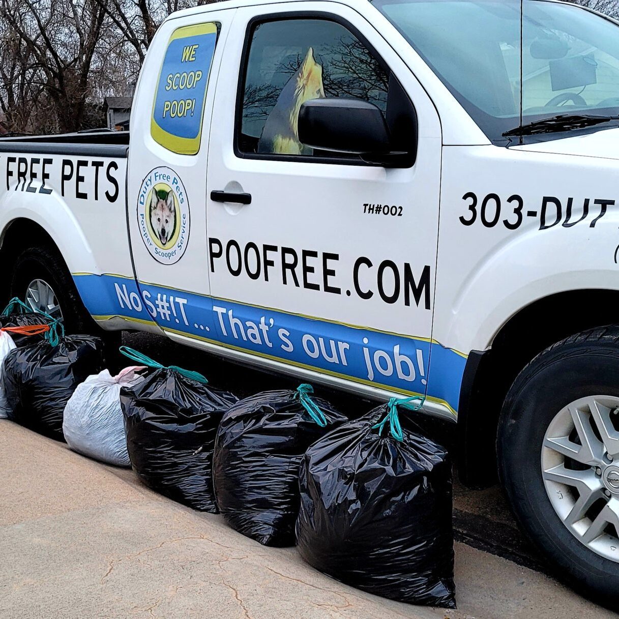 Commercial Dog Waste Removal Services in Thornton, Coloado